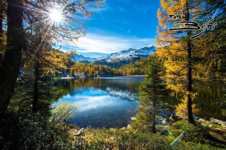 Hotel La Locanda Pinzolo Dış mekan fotoğraf